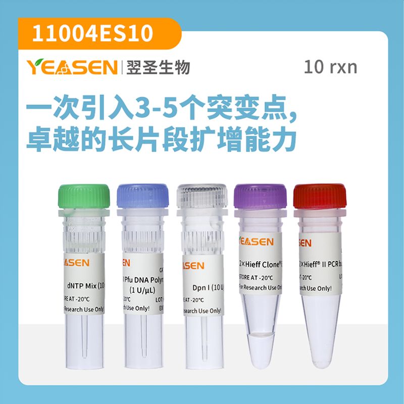 多点定点突变试剂盒 Multi Site-Directed Mutagenesis Kit