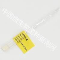 动物双歧杆菌动物亚种