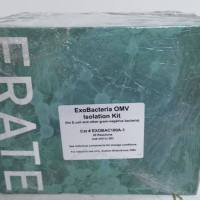 细菌囊泡提取试剂盒 ExoBacteria™ OMV Isolation Kit (for E.coli and other gram-negative bacteria)