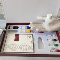 牛着丝粒蛋白I(CENPI)ELISA试剂盒 