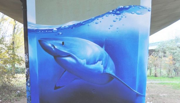 血管生成实验数据分析