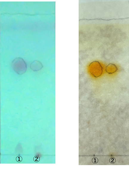 薄层色谱纸  Chromato Sheet