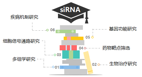 Small but Super: 微小却精准如箭，拥有撼动基因的力量
