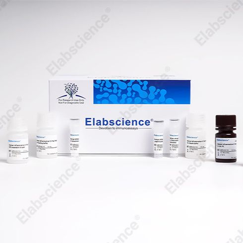 EcoPlex™小鼠炎症因子6指标多因子试剂盒