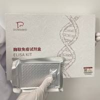 牛CCAAT增强子结合蛋白γ(C/EBPγ)ELISA试剂盒 