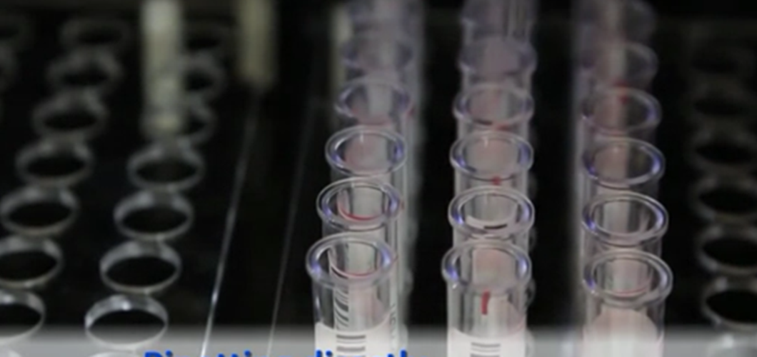 RRV罗斯河病毒IgG抗体Elisa检测试剂盒