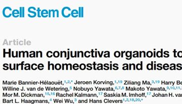IF=23.9 | Cell Stem Cell：眼结膜类器官的构建及其潜在应用研究