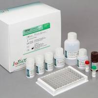 Inbios流行性乙脑病毒ELISA检测试剂盒