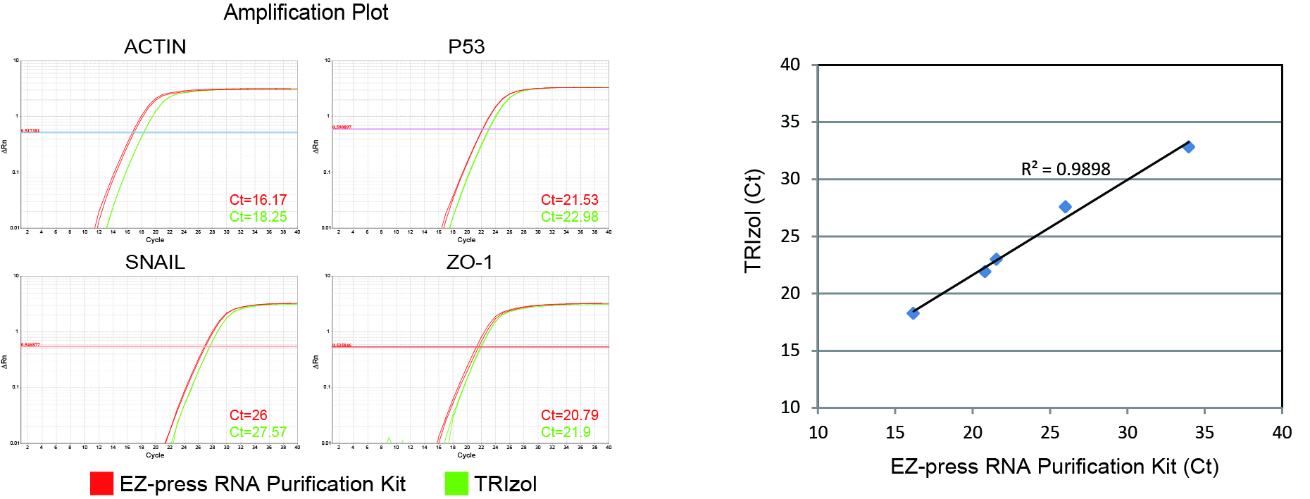 8分钟细胞RNA快速提取试剂盒 EZ-press RNA P