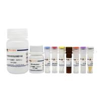 GSH和G SSG检测试剂盒