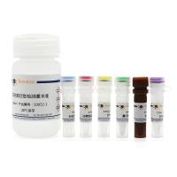 总谷胱甘肽检测试剂盒