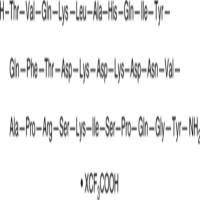 Adrenomedullin (22-52) (human) (trifluoroacetate salt)