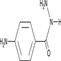 4-Aminobenzoic Acid hydrazide
