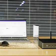 脑体无线光电刺激系统