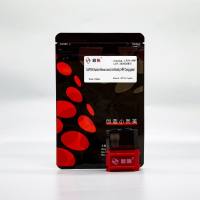 LF211-HRP HRP标记GAPDH兔单克隆抗体