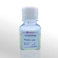 CellWorld 7.5% 牛血清白蛋白溶液  7.5% BSA solution  C2024-416