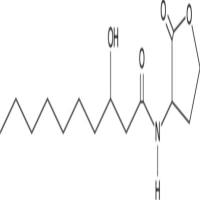 N-3-hydroxydecanoyl-DL-Homoserine lactone