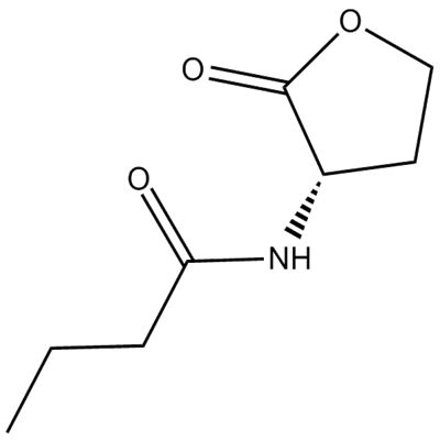 N-butyryl-L-Homoserine lactone
