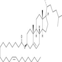 Cholesteryl Erucate