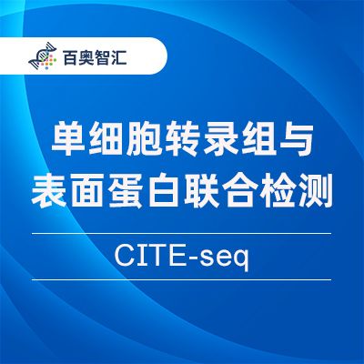 单细胞转录组与表面蛋白联合检测 (CITE-seq)