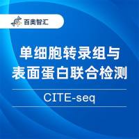 单细胞转录组与表面蛋白联合检测 (CITE-seq)