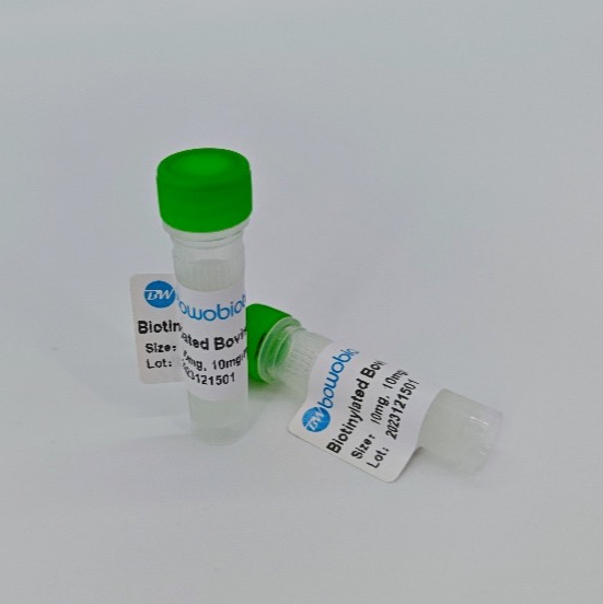 PreScission蛋白酶