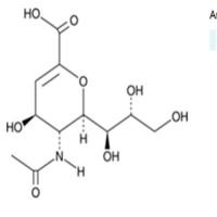 N-acetyl-2,3-dehydro-2-Deoxyneuraminic Acid