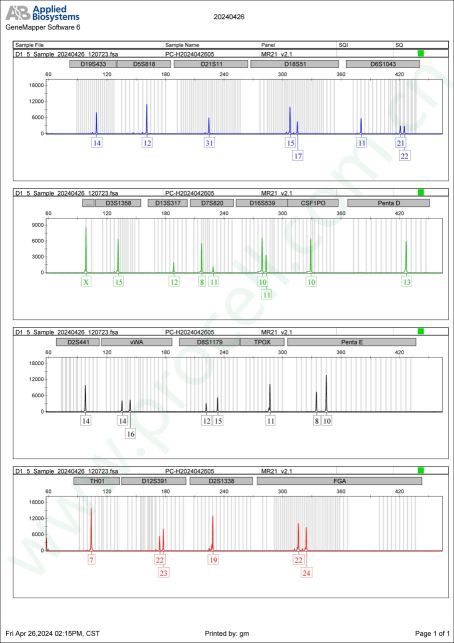 NCI-H1792(人肺腺癌细胞) (STR鉴定正确)