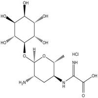 Kasugamycin (hydrochloride)