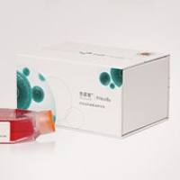 SK-MEL-2 (人皮肤黑色素瘤细胞) (STR鉴定正确)