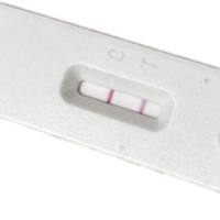 Q热病快速检测卡（金标法）说明书