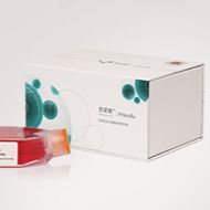 sNF96.2 (人雪旺细胞 (神经纤维瘤病Ⅰ型)) (STR鉴定正确)