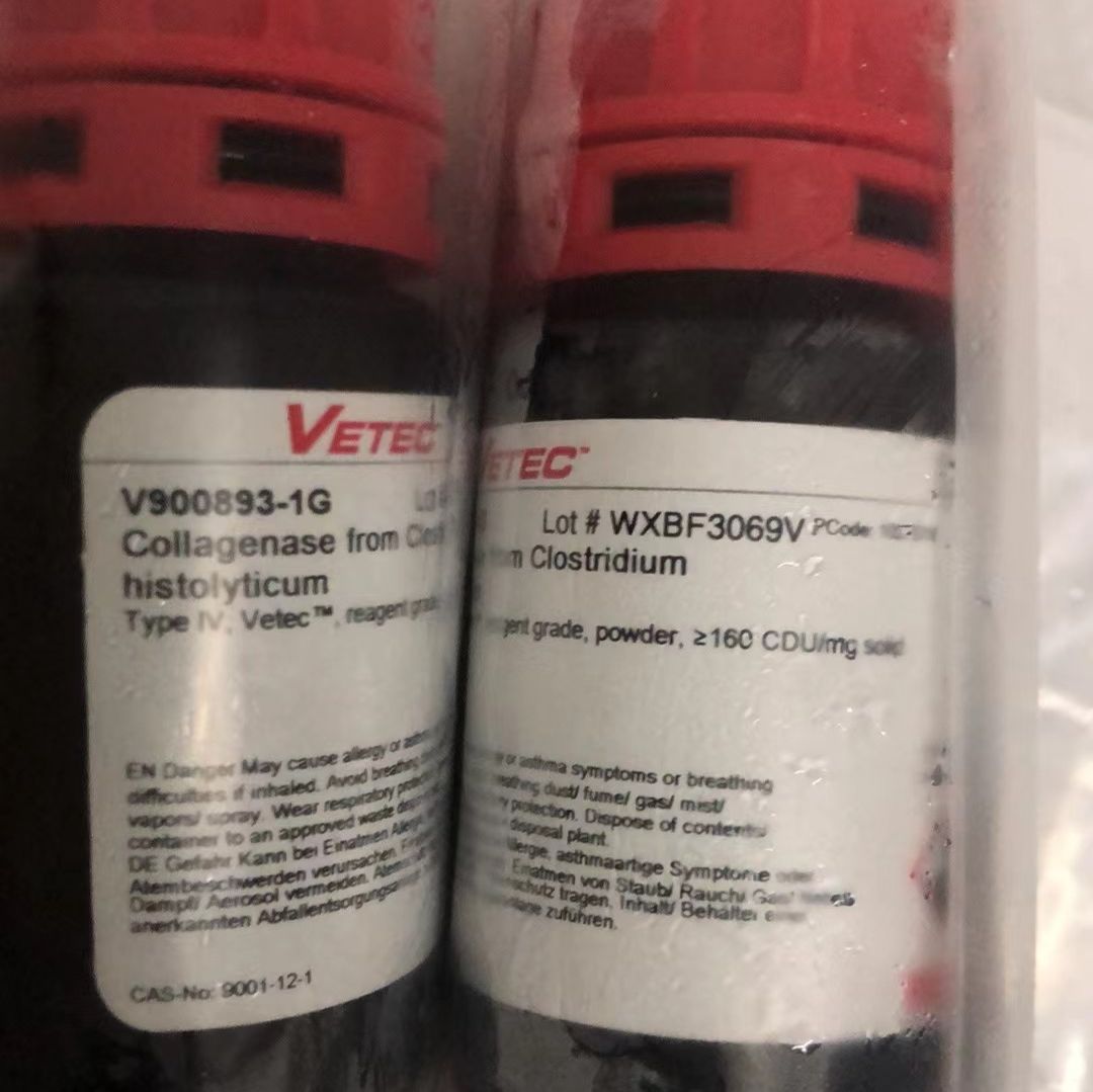 Collagenase IV胶原酶IV型Sigma货号V900893-1g上海睿安生物13611631389