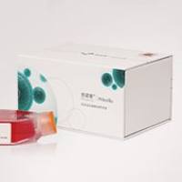 SW1271 (人小细胞肺癌细胞) (STR鉴定正确)