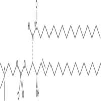 13C C16 Sphingomyelin (d18:1/16:0)