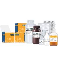 Human Amyloid Beta（E22G）oligomers