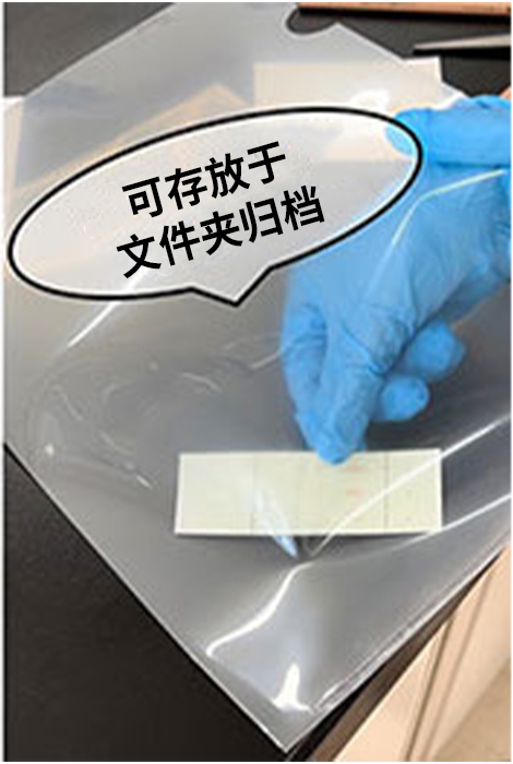 薄层色谱纸  Chromato Sheet