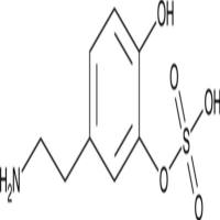 Dopamine 3-O-Sulfate