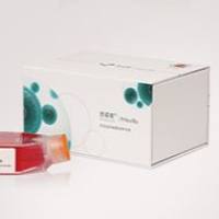 NCI-H660 (人神经内分泌前列腺癌细胞) (STR鉴定正确)