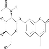 4-Methylumbelliferyl-2-acetamido-2-deoxy-β-D-Glucopyranoside