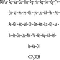 TAMRA-Amyloid-β (1-42) Peptide (trifluoroacetate salt)
