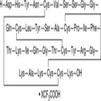 β-Defensin-1 (human) (trifluoroacetate salt)