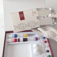 牛糖抗原125(CA125)ELISA试剂盒  