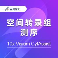 空间转录组测序  (10x Visium CytAssist)