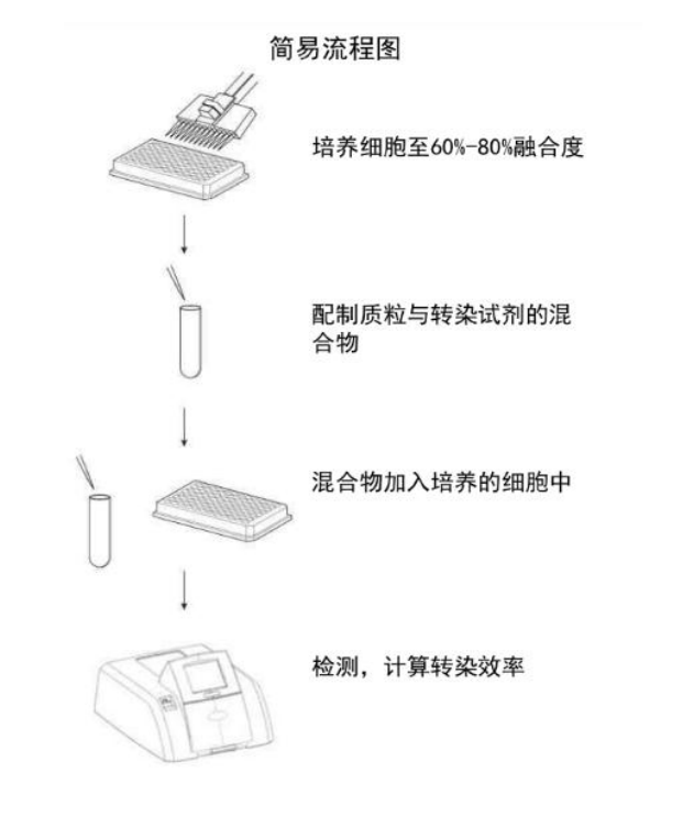 美国Fugene转染试剂跟其它转染试剂相比有何优势？