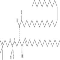 C26 Sphingomyelin (d18:1/26:0)