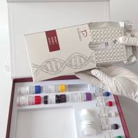 牛组织蛋白酶D(CTSD)ELISA试剂盒  