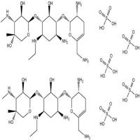 Netilmicin Sulfate