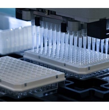 基因组扫描服务