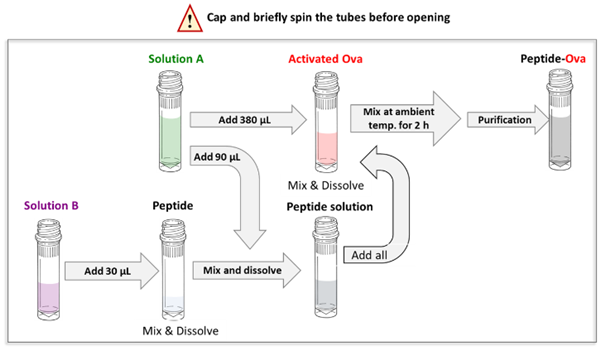 卵白蛋白-肽偶联试剂盒,单一纯化步骤获取高纯度偶联物促销 卵白蛋白-肽偶联试剂盒,单一纯化步骤获取高纯度偶联物促销